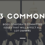 Body corporate committee