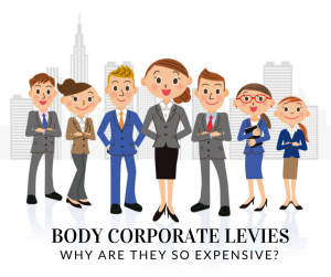 Why Body Corporate Levies Are So Costly